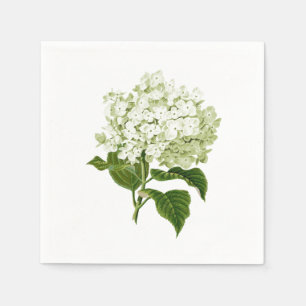 Serviette En Papier Fleur de Hortensia Antique Blanche et Vert Pâle