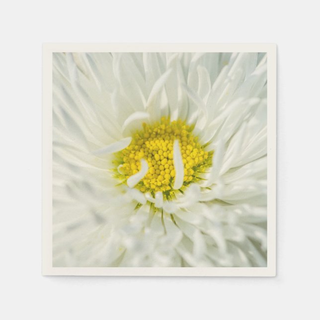 Serviette En Papier Fleur de marguerite anglaise blanche (Devant)