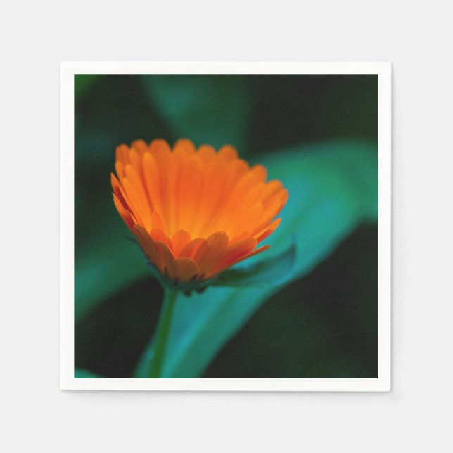 Serviette En Papier Fleur de marguerite orange (Devant)