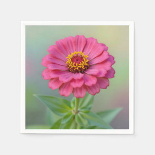 Serviette En Papier Fleur de Zinnia Rose Vibrant Macro Botanique