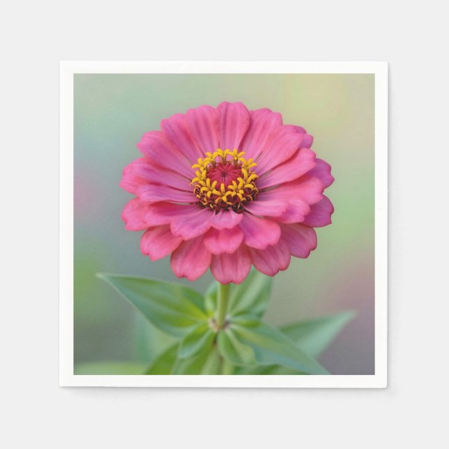 Serviette En Papier Fleur de Zinnia Rose Vibrant Macro Botanique (Devant)