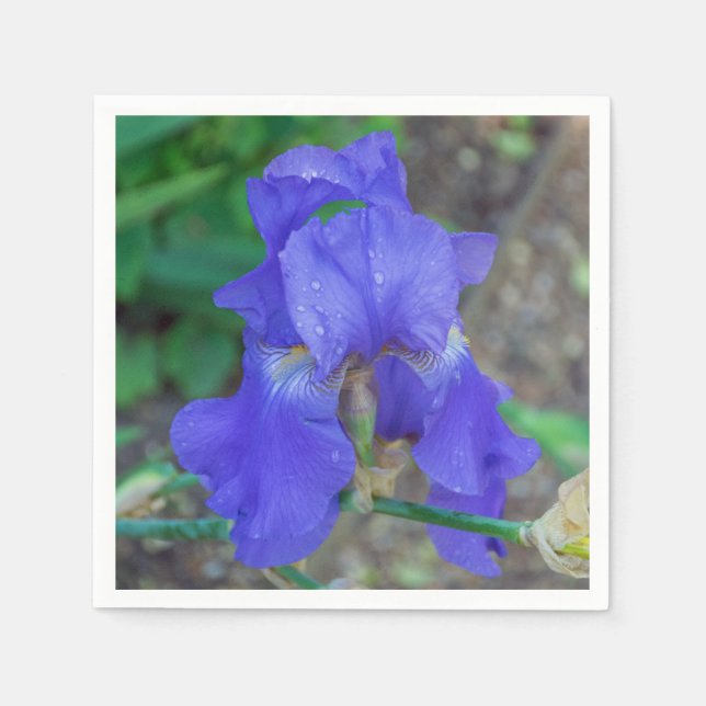 Serviette En Papier Fleur d'iris bleue (Devant)
