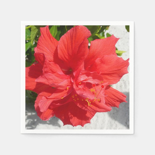 Serviette En Papier Fleur double hibiscus rouge (Devant)