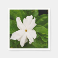 Fleur Jasmine