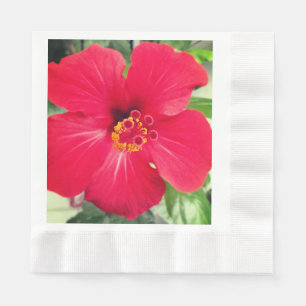 Serviette En Papier Fleur rouge de Hibiscus Rosa-sinensis