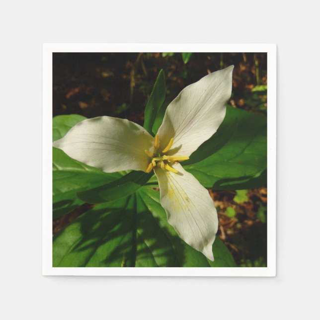 Serviette En Papier Fleur sauvage de printemps blanc Trillium Flower (Devant)