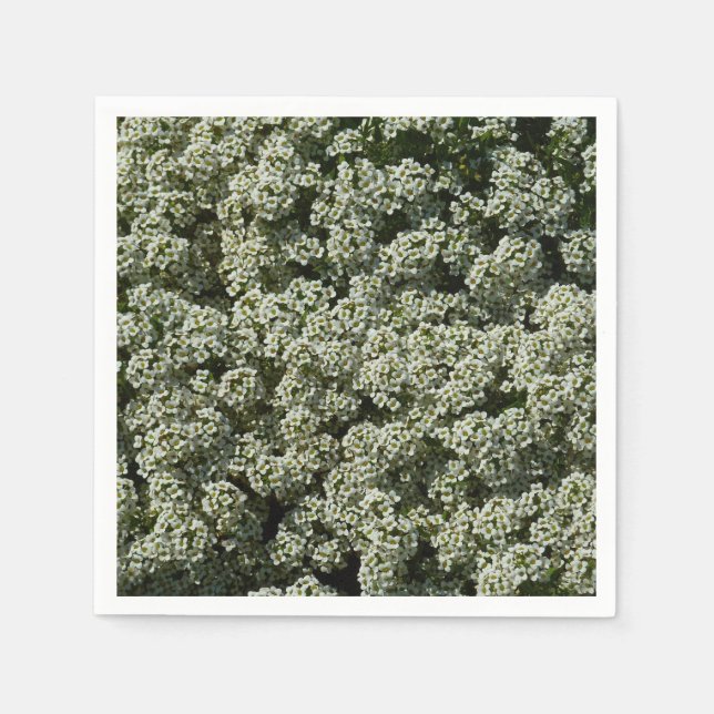 Serviette En Papier Fleurs d'Alyssum doux Floral blanc (Devant)