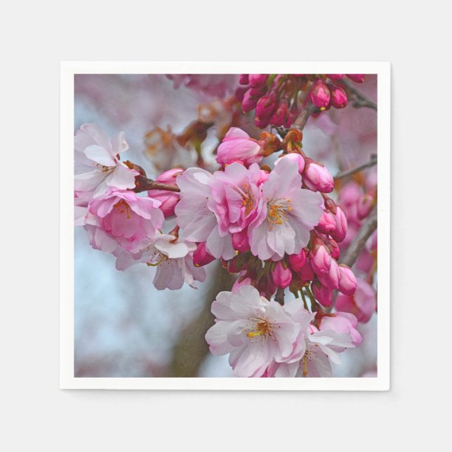 Serviette En Papier Fleurs de cerisiers roses (Devant)