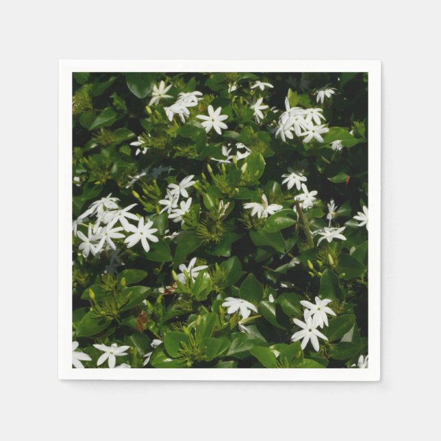 Serviette En Papier Fleurs de jasmin Botanique tropicale florale (Devant)