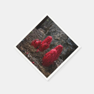 Serviette En Papier Fleurs de neige