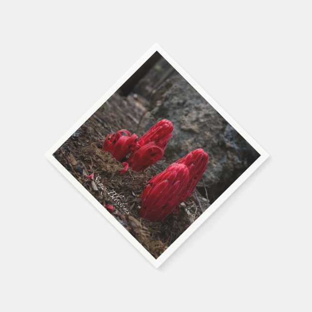 Serviette En Papier Fleurs de neige (Coin)