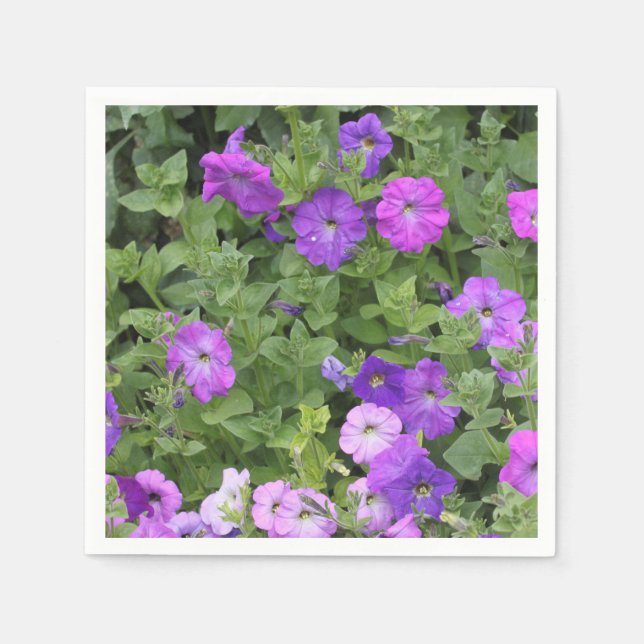 Serviette En Papier Fleurs de pétunia violettes florales de printemps  (Devant)