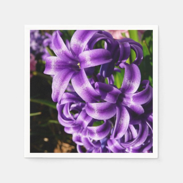 Serviette En Papier Flore de printemps Blue Hyacinth II (Devant)