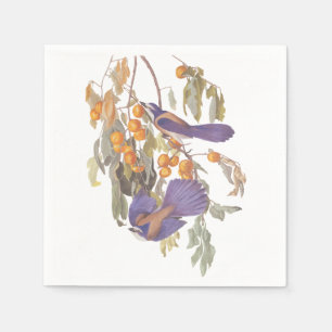 Serviette En Papier Floride Scrub Jay Audubon Bird sur Orange Tree