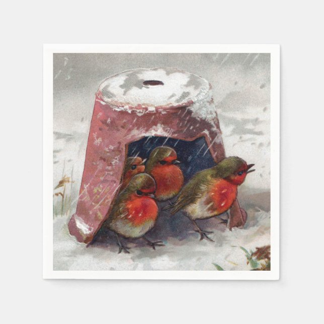 Serviette En Papier Flowerpot Shelter pour Robins Anglais (Devant)