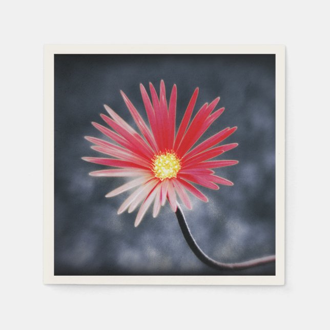 Serviette En Papier Flowers (Devant)