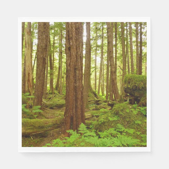 Serviette En Papier Forêt pluviale tempérée d'Alaska (Devant)