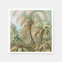 Fougères, Filicinae Laubfarne par Ernst Haeckel