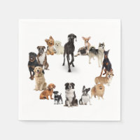 Fun Chien race Animaux de compagnie chien Nom pers