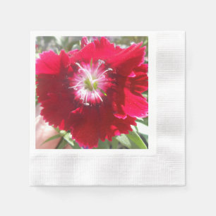 Serviette En Papier Geertje