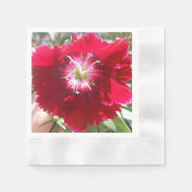 Serviette En Papier Geertje (Devant)