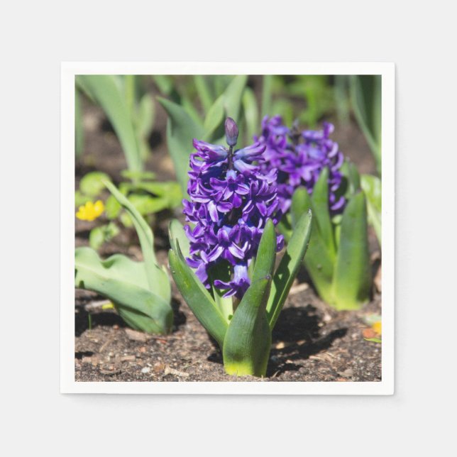 Serviette En Papier Géocinthe bleu au printemps (Devant)