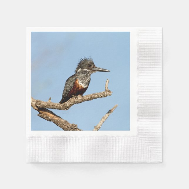 Serviette En Papier Giant Kingfisher (Devant)