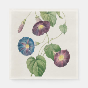Serviette En Papier Gloire-étoile Volubilis, Pierre-Joseph Redouté