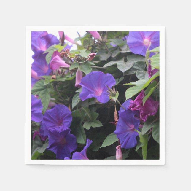 Serviette En Papier Glorieuses du Matin Bleu de Printemps (Devant)
