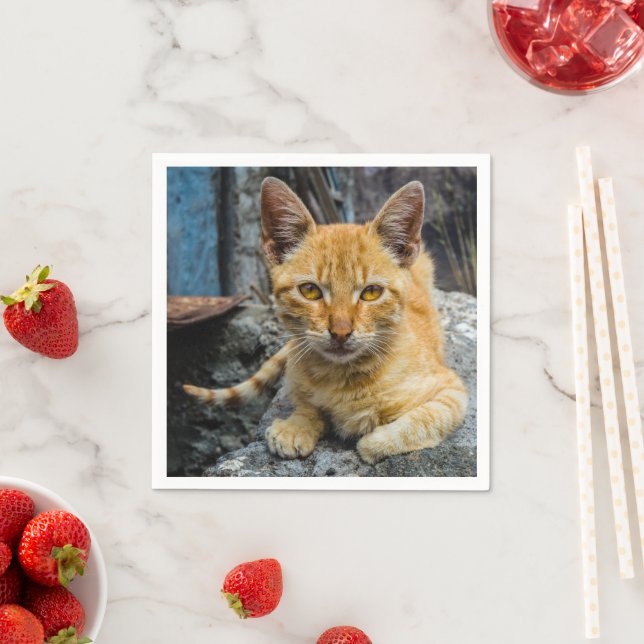 Serviette En Papier Golden Eyes (En situation)