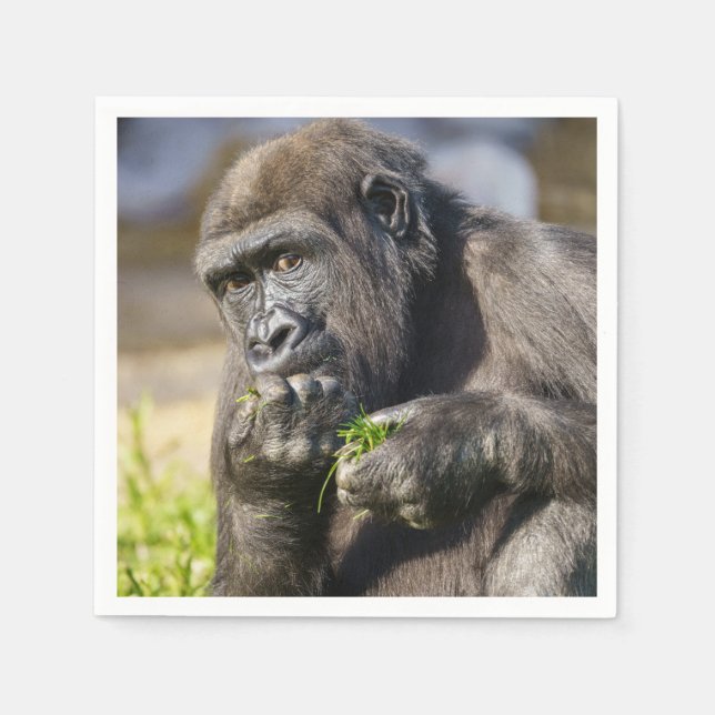 Serviette En Papier Gorilla Youngster (Devant)