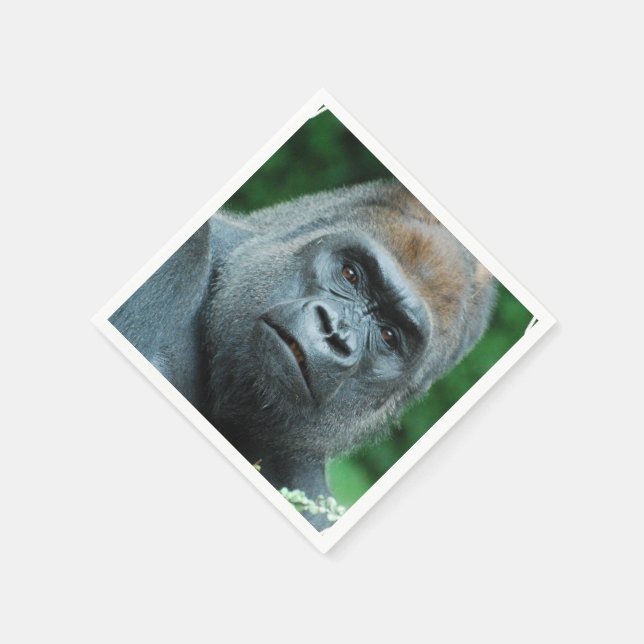 Serviette En Papier Gorille perplexe (Coin)