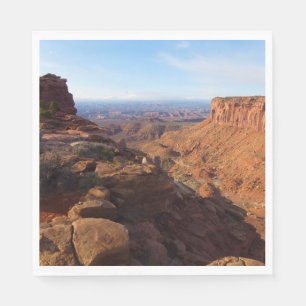 Serviette En Papier Grand View Point dans le parc national de Canyonla