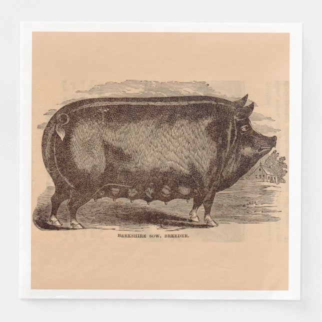 Serviette En Papier Gravure de cochon du 19e siècle Truie Berkshire n° (Devant)