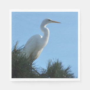 Serviette En Papier Great Egret dans la Floride ensoleillée