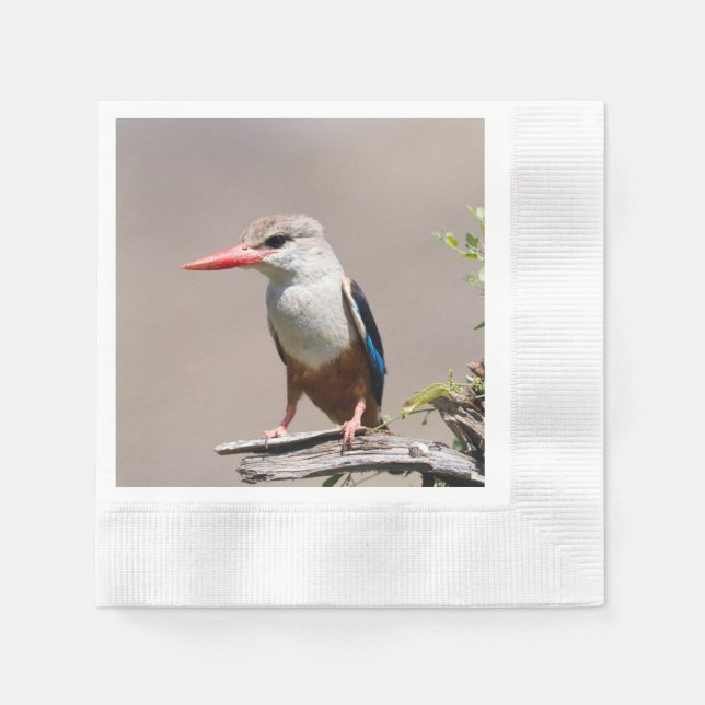 Serviette En Papier Grey-Headed Kingfisher (Devant)