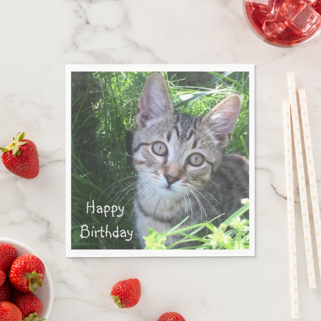Serviette En Papier Gris Tabby Chat Anniversaire (En situation)