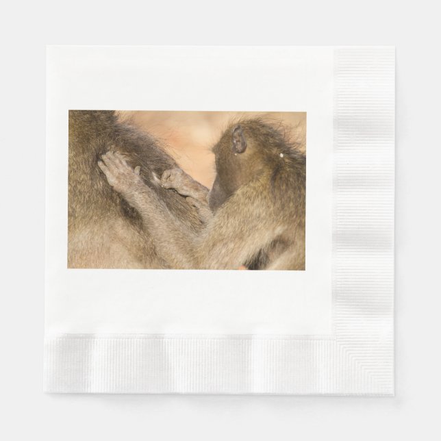 Serviette En Papier Grooming baboons (Devant)