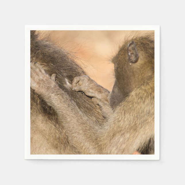 Serviette En Papier Grooming baboons (Devant)