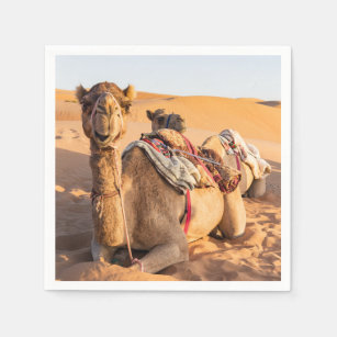 Serviette En Papier Gros plan sur Camel dans le désert d'Oman