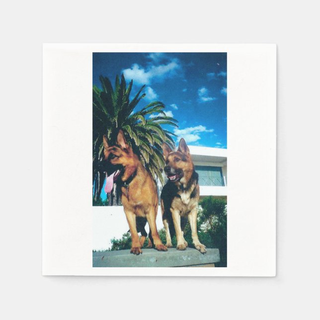 Serviette En Papier groupe german shepherd (Devant)