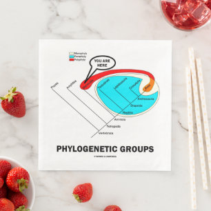 Serviette En Papier Groupes phylogénétiques (Mammalia) Vous êtes ici
