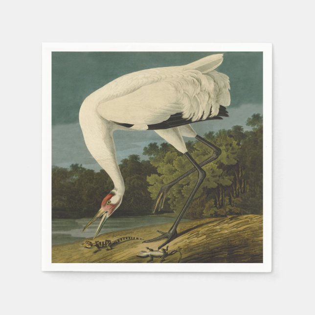 Serviette En Papier Grue blanche Audubon Peinture d'oiseaux (Devant)