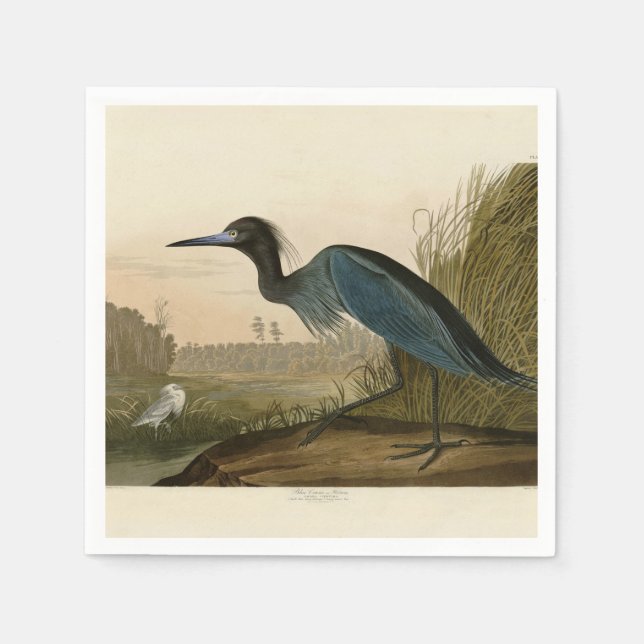 Serviette En Papier Grue Bleue Heron Audubon Peinture (Devant)