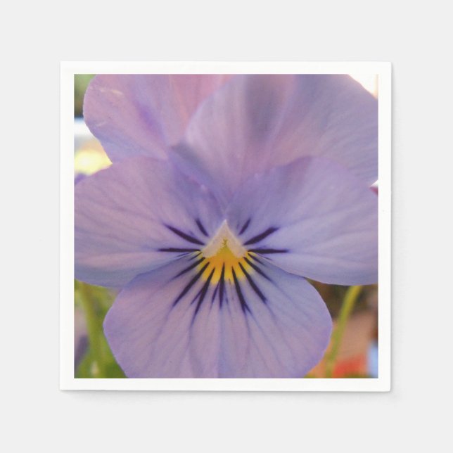 Serviette En Papier Haetzlern (Devant)