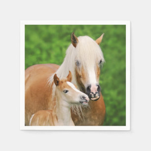 Serviette En Papier Haflinger Horse mignon Bébé Foal Baiser Mum Pony P