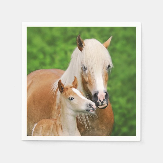 Serviette En Papier Haflinger Horse mignon Bébé Foal Baiser Mum Pony P (Devant)
