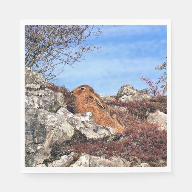 SERVIETTE EN PAPIER HARE (Devant)