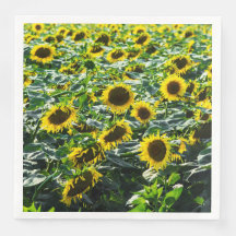 Harmonie du champ de tournesols