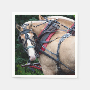 Serviette En Papier Harnais Palomino